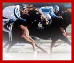 online horse racing